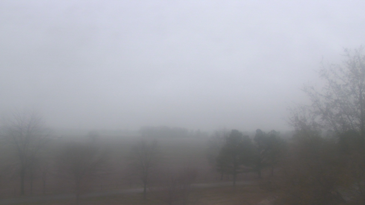 Thumbnail for current weather camera view from Walkers Bluff in Cambria, Illinois