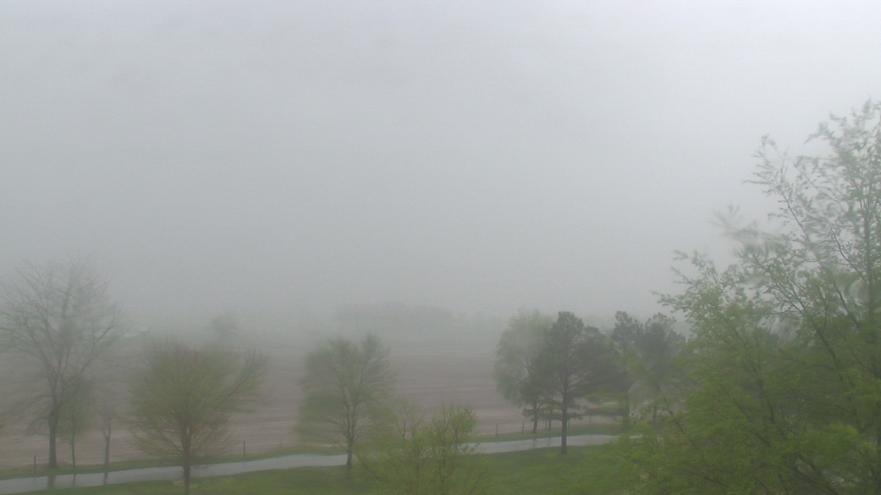 Thumbnail for current weather camera view from Walkers Bluff in Cambria, Illinois