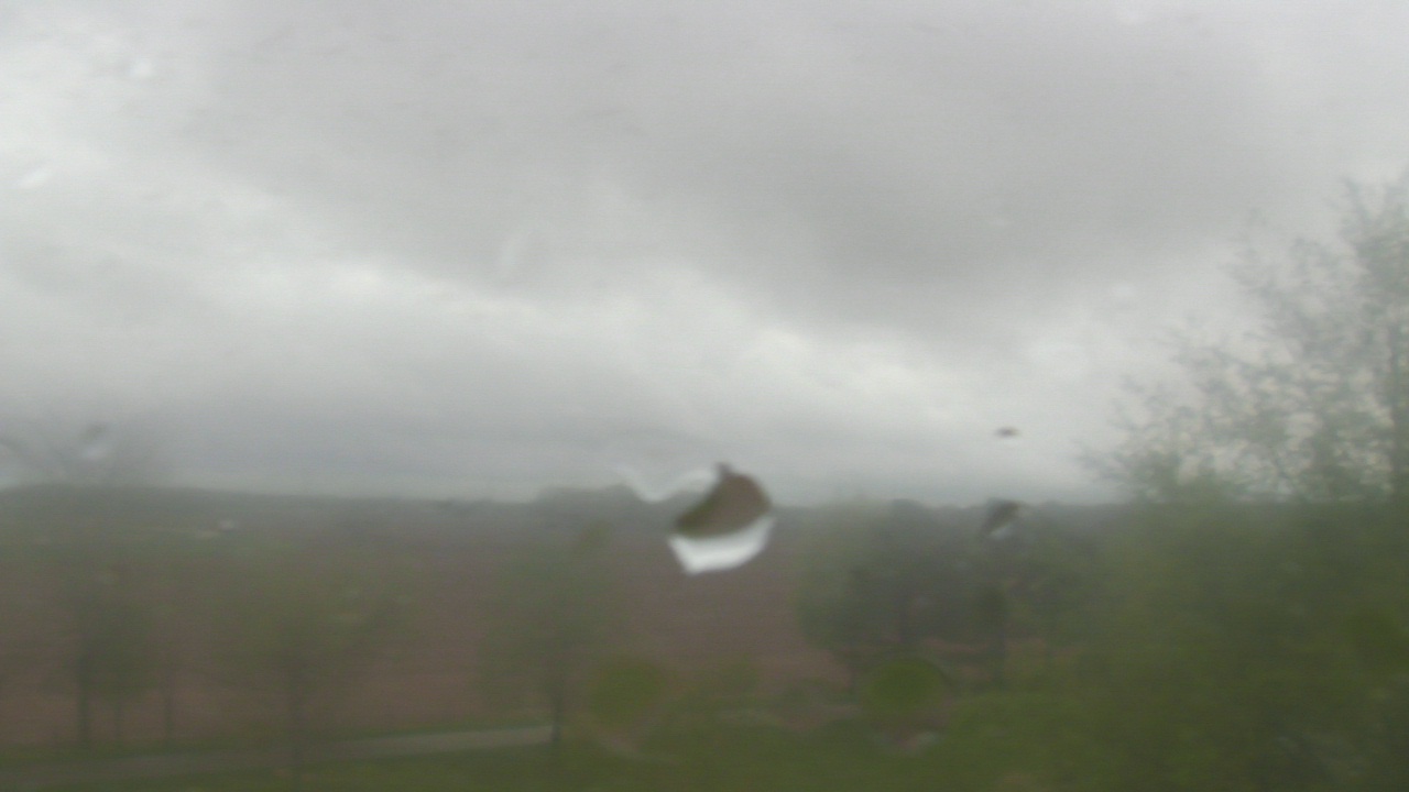 Thumbnail for current weather camera view from Walkers Bluff in Cambria, Illinois