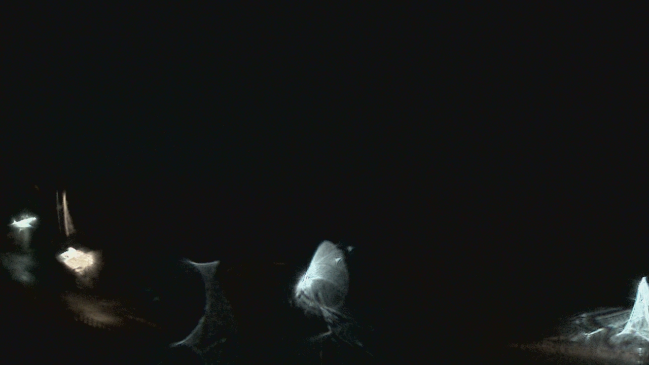 Thumbnail for current weather camera view from Crawfordsville MS in Crawfordsville, Indiana