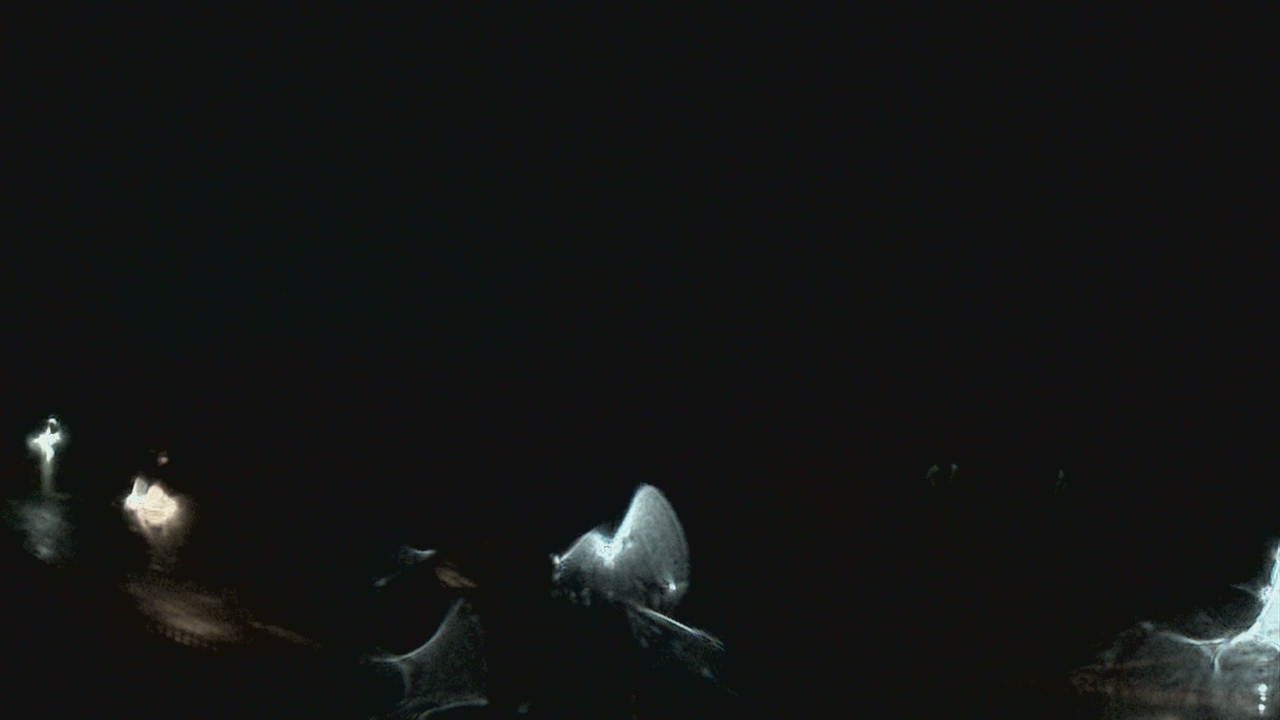 Thumbnail for current weather camera view from Crawfordsville MS in Crawfordsville, Indiana