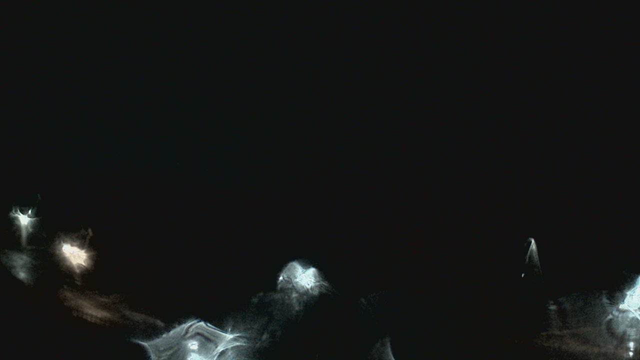 Thumbnail for current weather camera view from Crawfordsville MS in Crawfordsville, Indiana