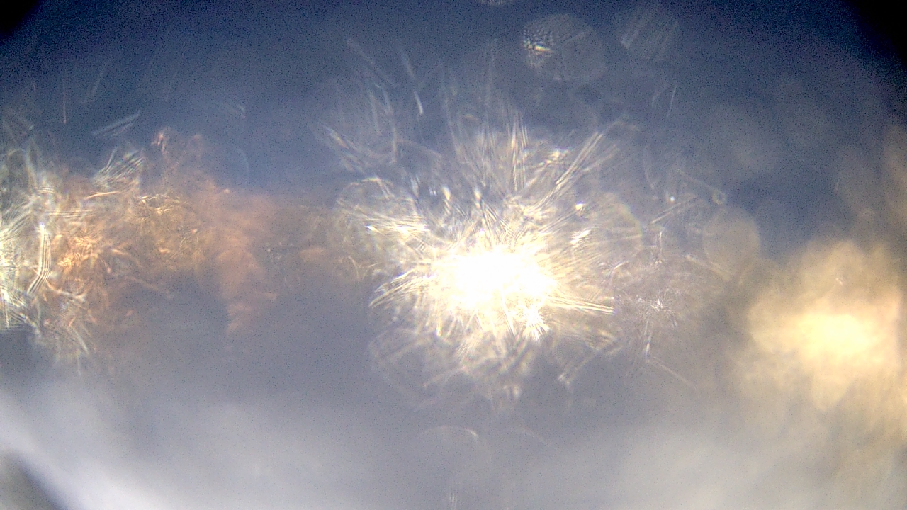 Thumbnail for current weather camera view from Crestwood HS in Dearborn Heights, Michigan