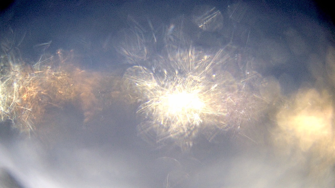 Thumbnail for current weather camera view from Crestwood HS in Dearborn Heights, Michigan