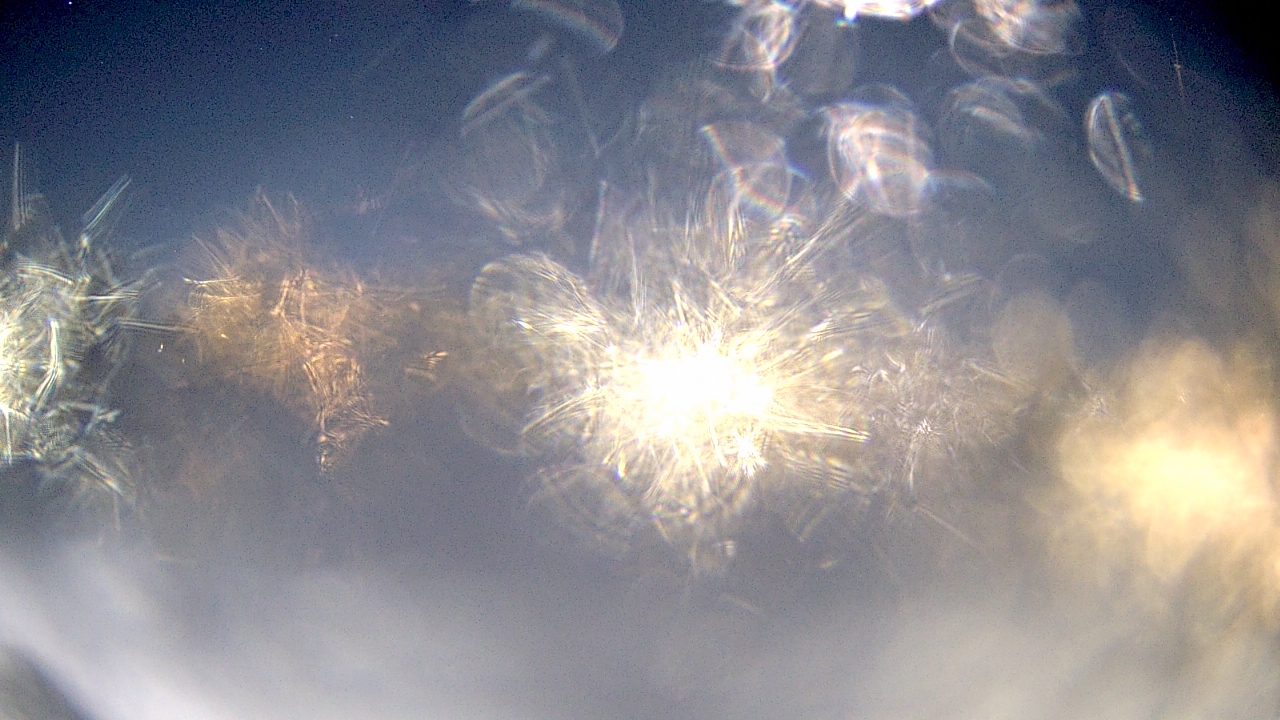 Thumbnail for current weather camera view from Crestwood HS in Dearborn Heights, Michigan