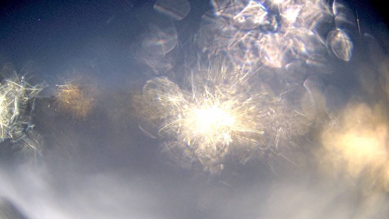 Thumbnail for current weather camera view from Crestwood HS in Dearborn Heights, Michigan