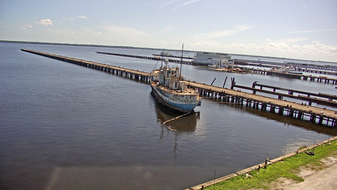 Thumbnail for current weather camera view from Reynolds Parks in Green Cove Springs, Florida