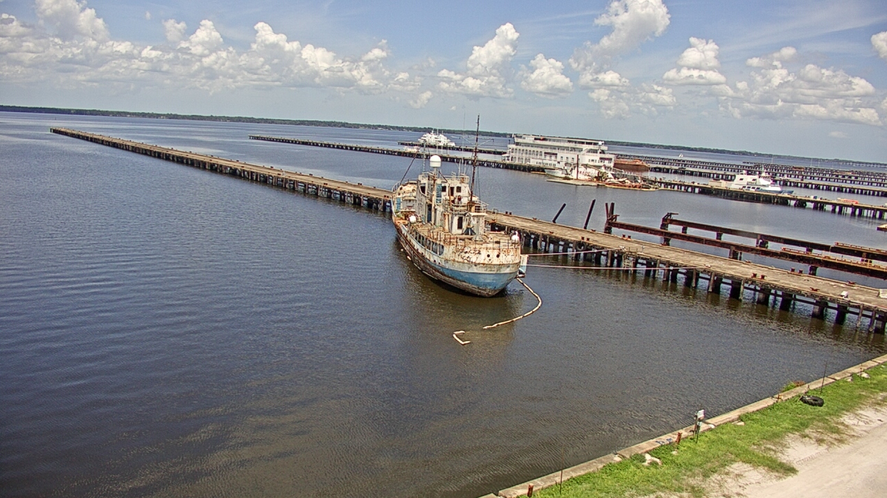 Thumbnail for current weather camera view from Reynolds Parks in Green Cove Springs, Florida