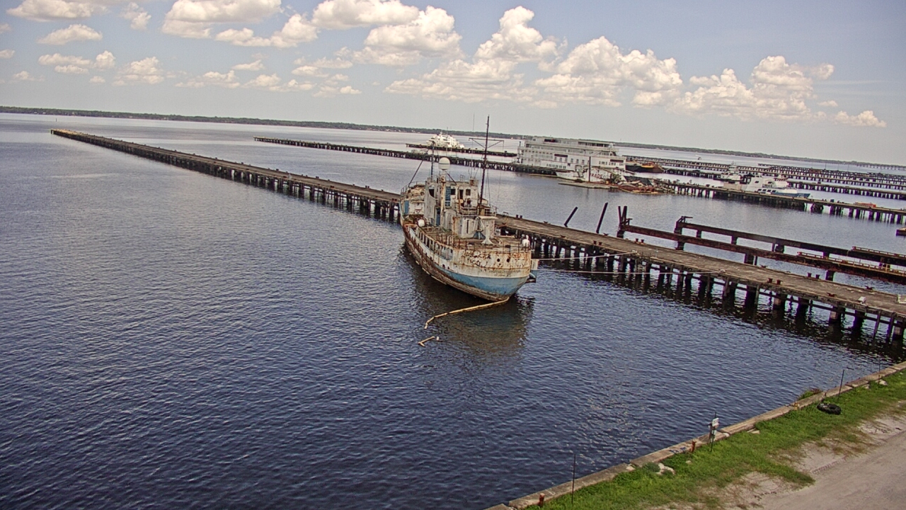 Thumbnail for current weather camera view from Reynolds Parks in Green Cove Springs, Florida