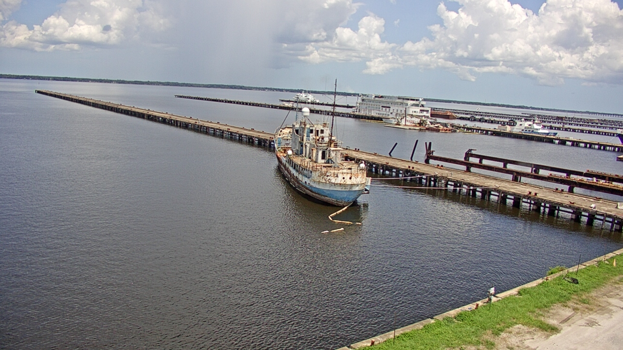Thumbnail for current weather camera view from Reynolds Parks in Green Cove Springs, Florida
