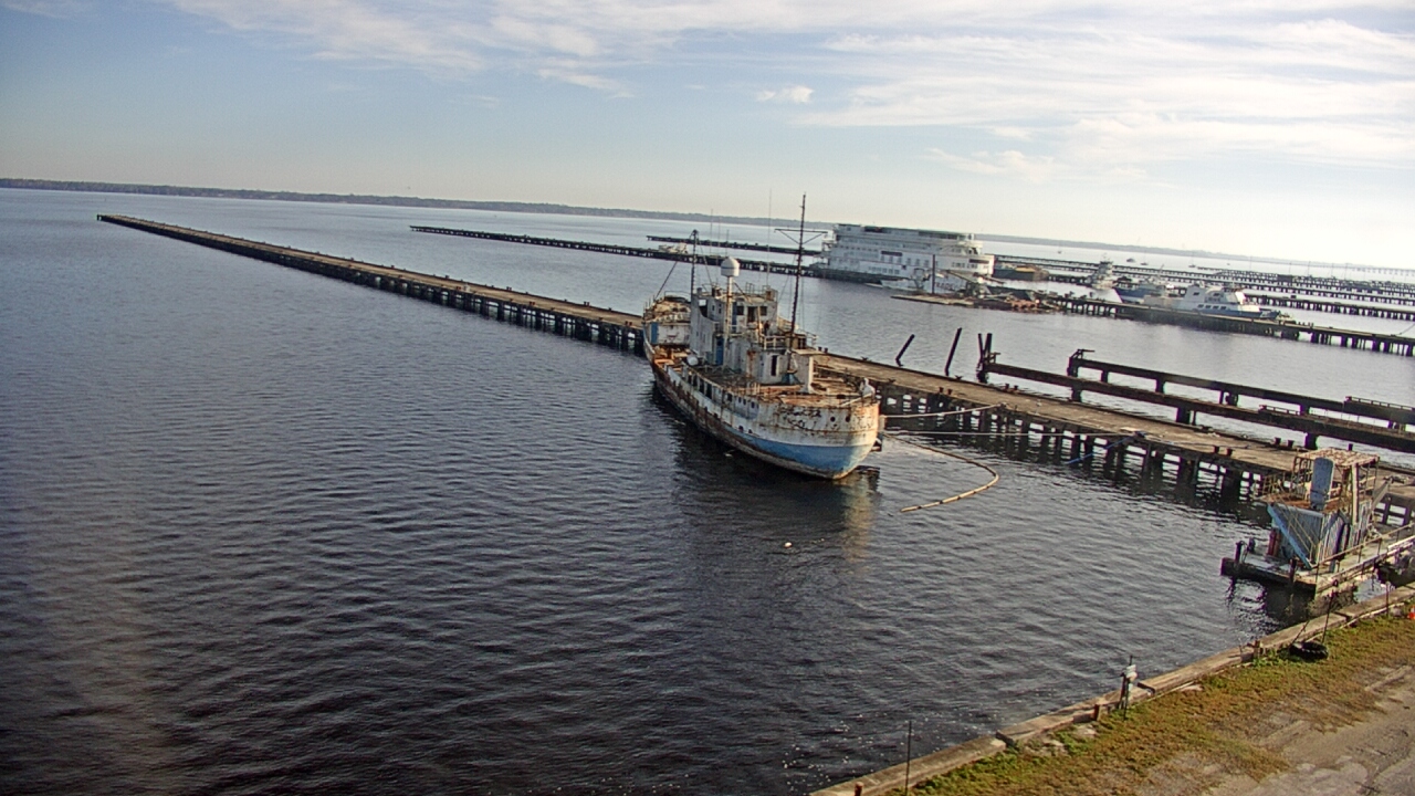 Thumbnail for current weather camera view from Reynolds Parks in Green Cove Springs, Florida