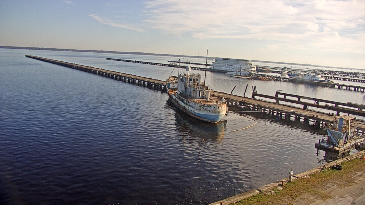 Thumbnail for current weather camera view from Reynolds Parks in Green Cove Springs, Florida