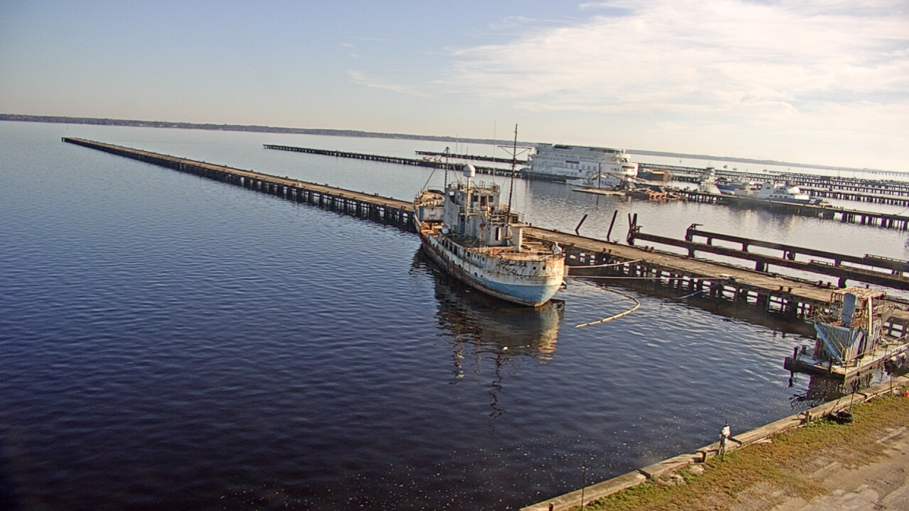 Thumbnail for current weather camera view from Reynolds Parks in Green Cove Springs, Florida
