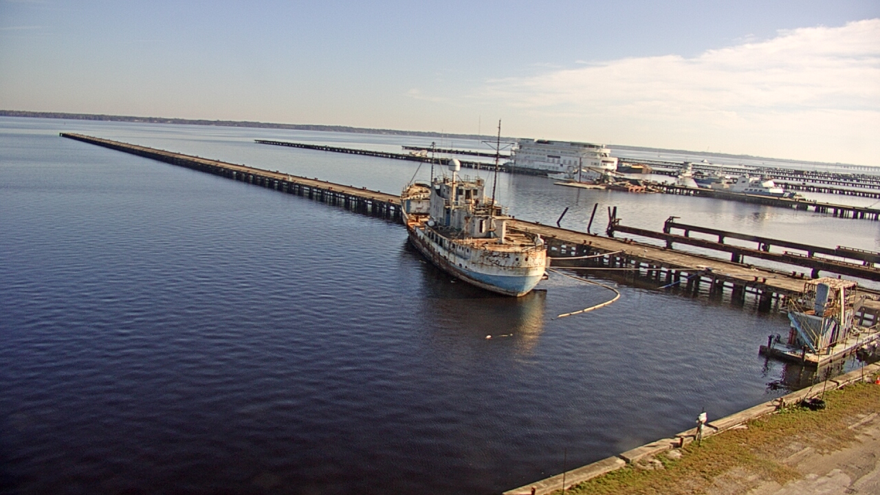 Thumbnail for current weather camera view from Reynolds Parks in Green Cove Springs, Florida