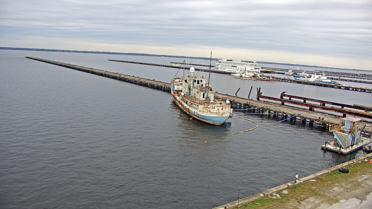 Thumbnail for current weather camera view from Reynolds Parks in Green Cove Springs, Florida