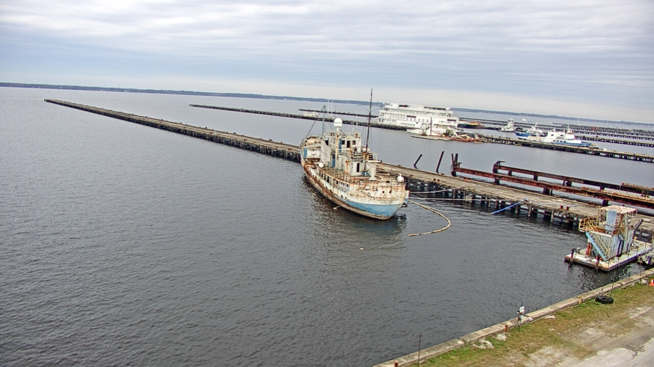 Thumbnail for current weather camera view from Reynolds Parks in Green Cove Springs, Florida