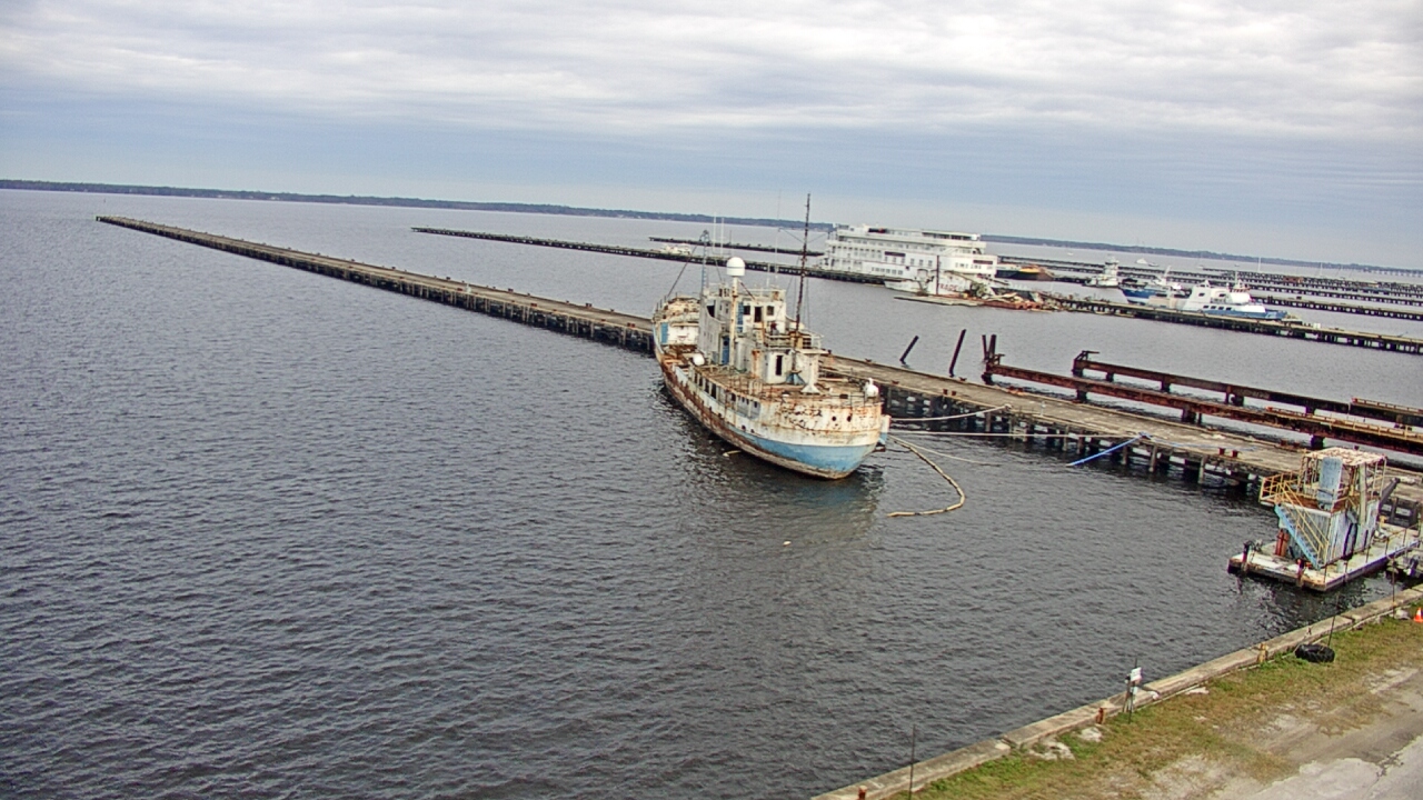 Thumbnail for current weather camera view from Reynolds Parks in Green Cove Springs, Florida