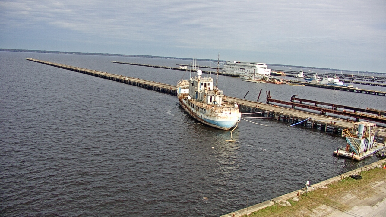 Thumbnail for current weather camera view from Reynolds Parks in Green Cove Springs, Florida