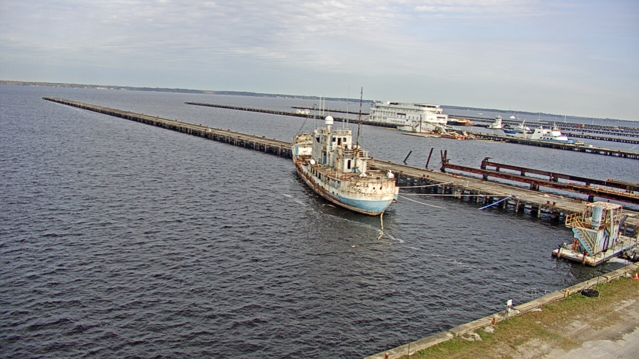 Thumbnail for current weather camera view from Reynolds Parks in Green Cove Springs, Florida
