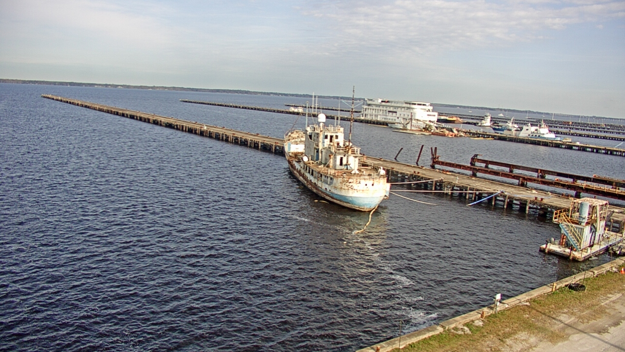 Thumbnail for current weather camera view from Reynolds Parks in Green Cove Springs, Florida