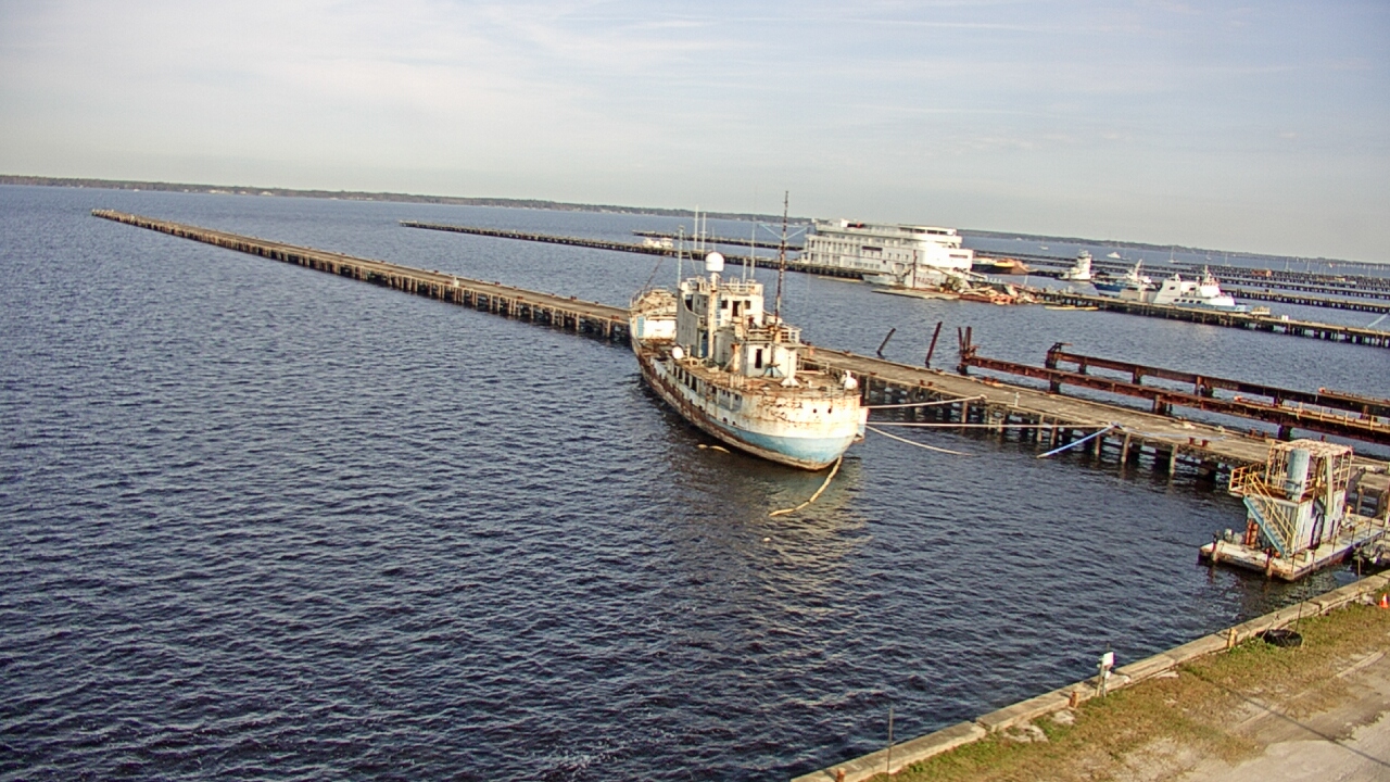 Thumbnail for current weather camera view from Reynolds Parks in Green Cove Springs, Florida