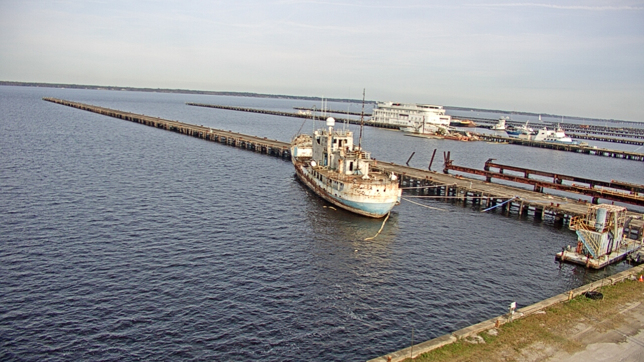 Thumbnail for current weather camera view from Reynolds Parks in Green Cove Springs, Florida