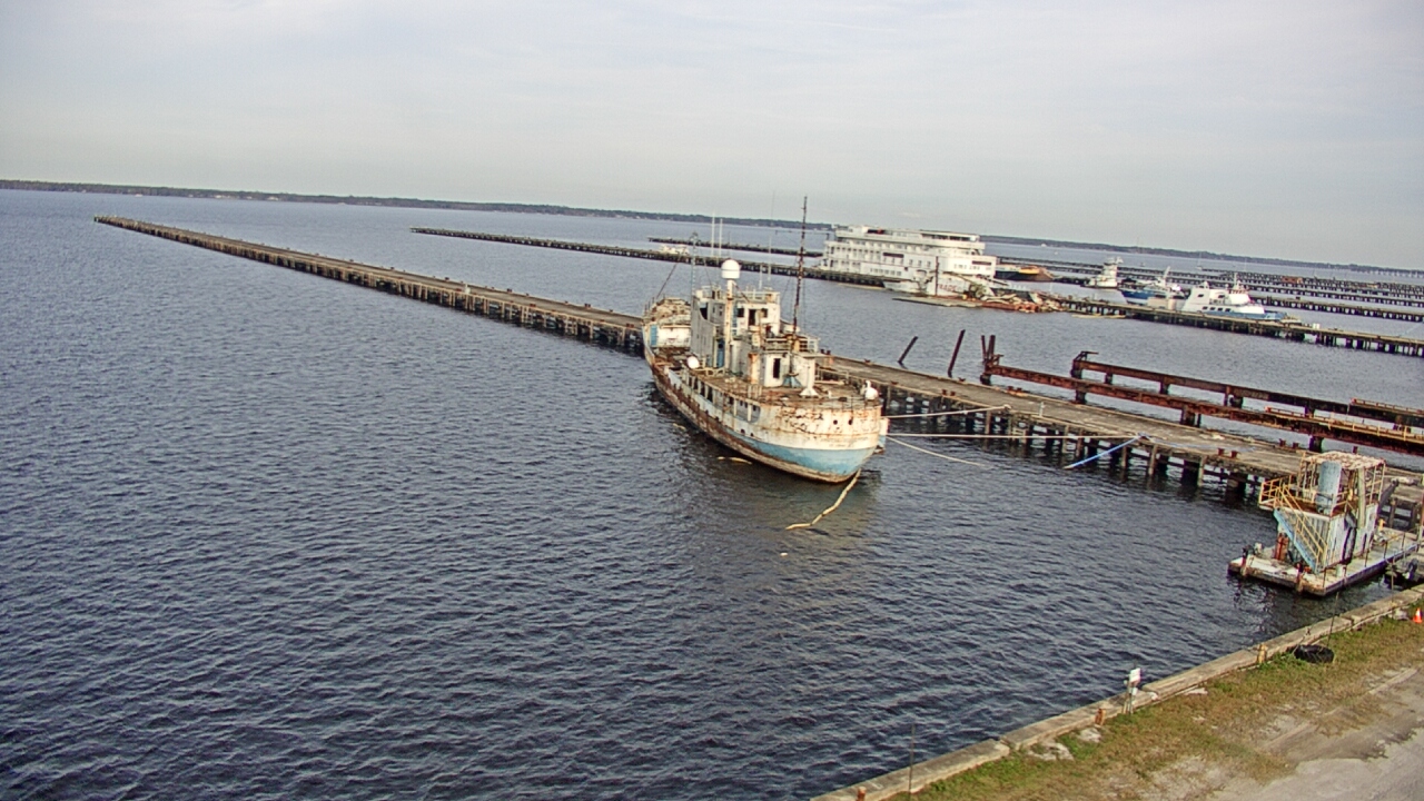 Thumbnail for current weather camera view from Reynolds Parks in Green Cove Springs, Florida