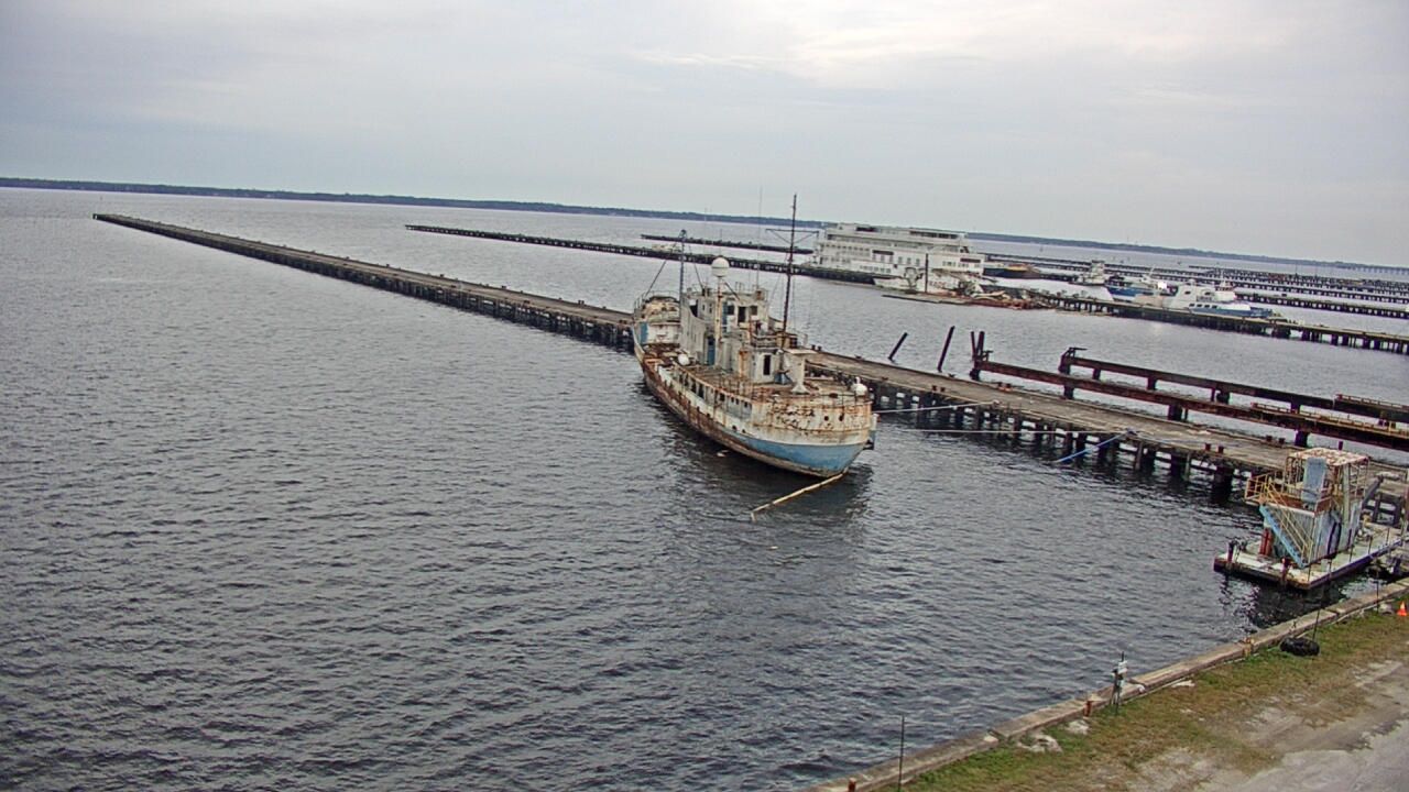 Thumbnail for current weather camera view from Reynolds Parks in Green Cove Springs, Florida