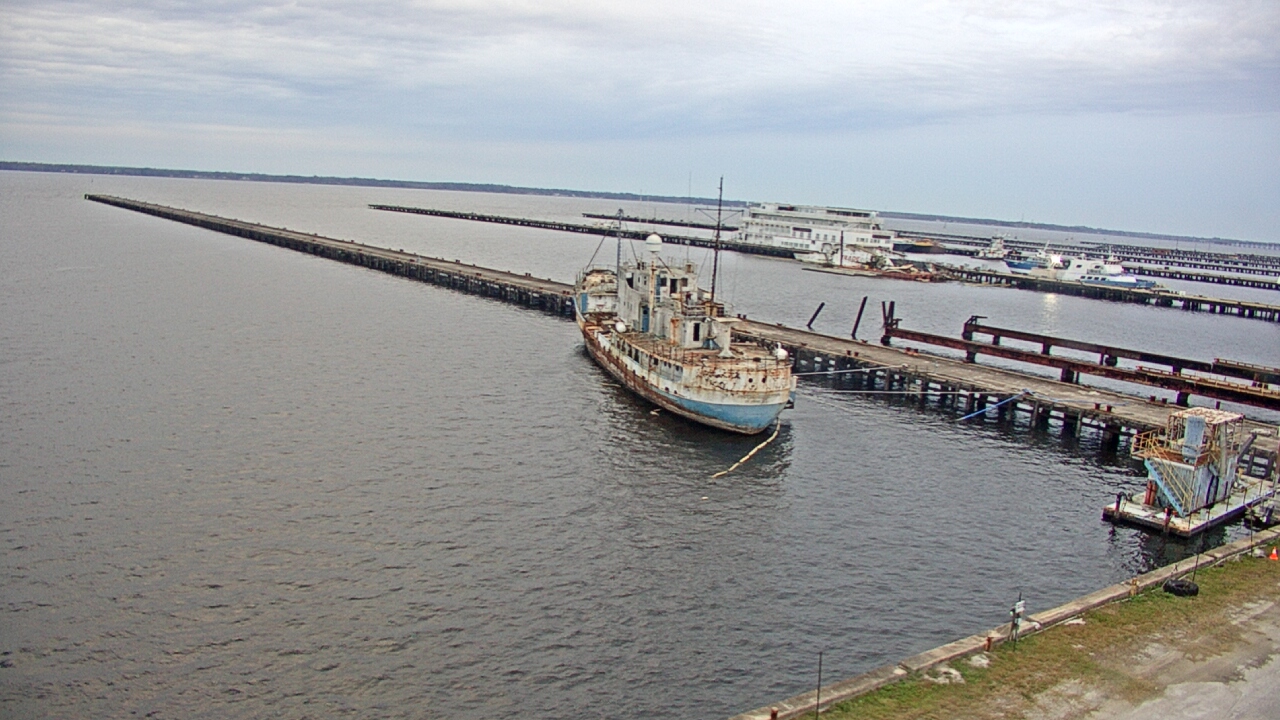 Thumbnail for current weather camera view from Reynolds Parks in Green Cove Springs, Florida