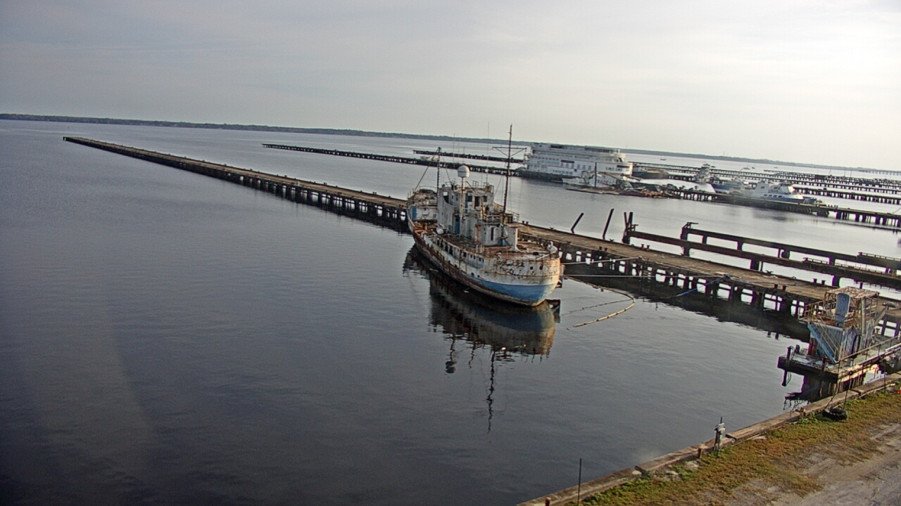 Thumbnail for current weather camera view from Reynolds Parks in Green Cove Springs, Florida