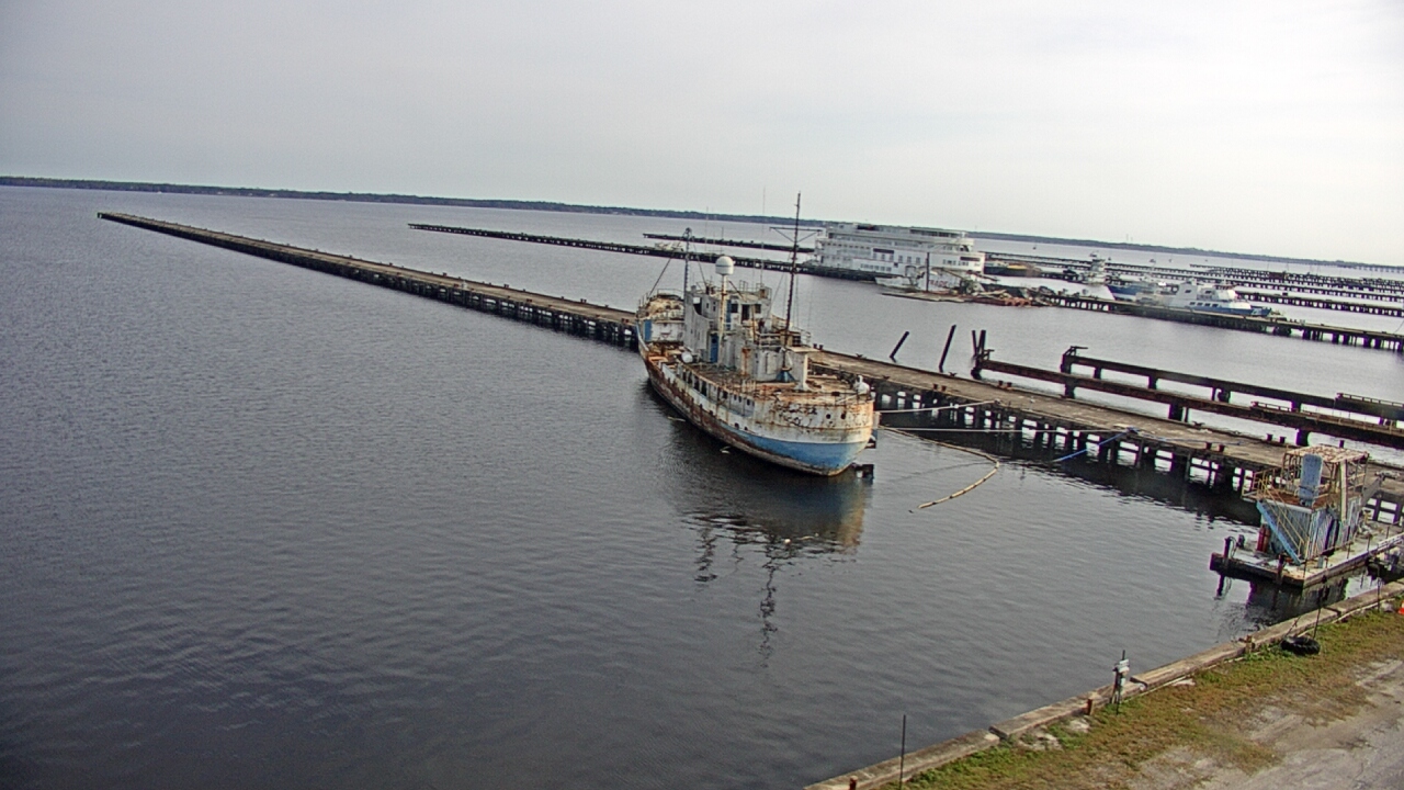 Thumbnail for current weather camera view from Reynolds Parks in Green Cove Springs, Florida