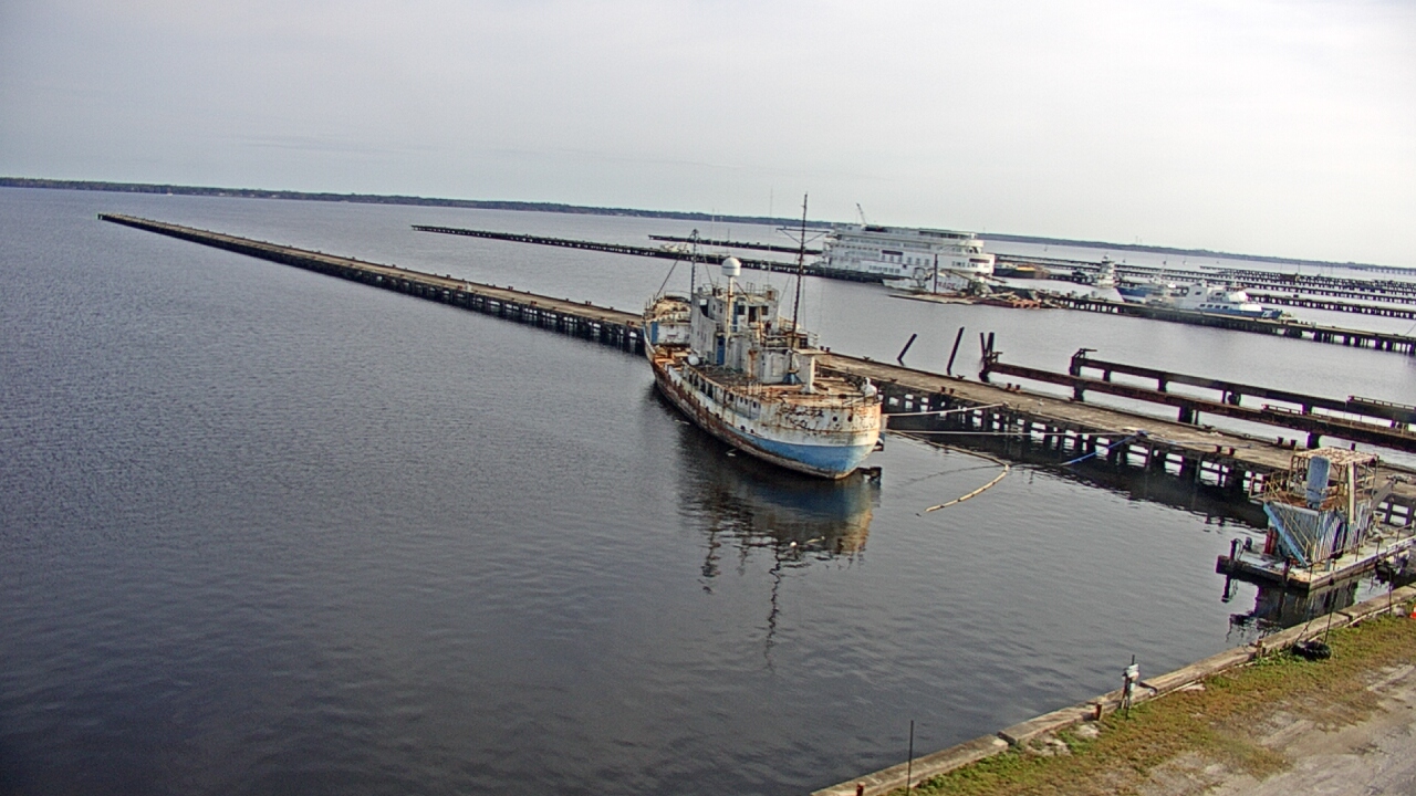 Thumbnail for current weather camera view from Reynolds Parks in Green Cove Springs, Florida