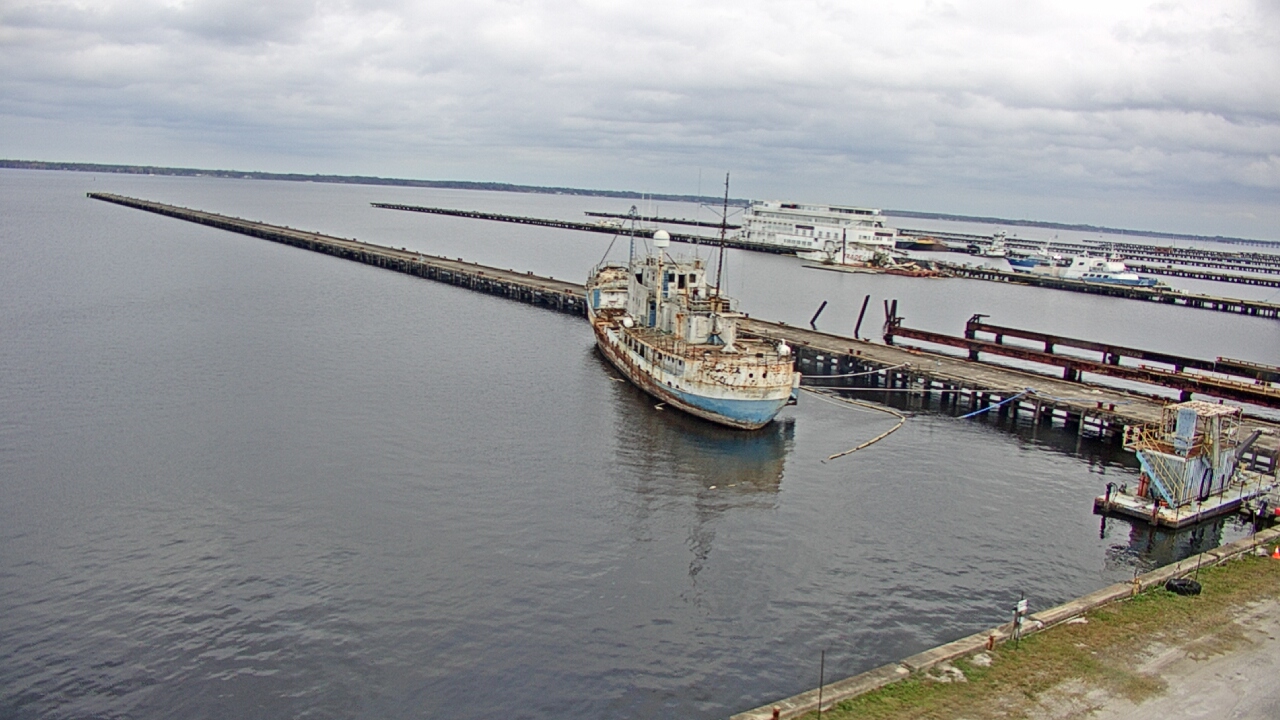Thumbnail for current weather camera view from Reynolds Parks in Green Cove Springs, Florida