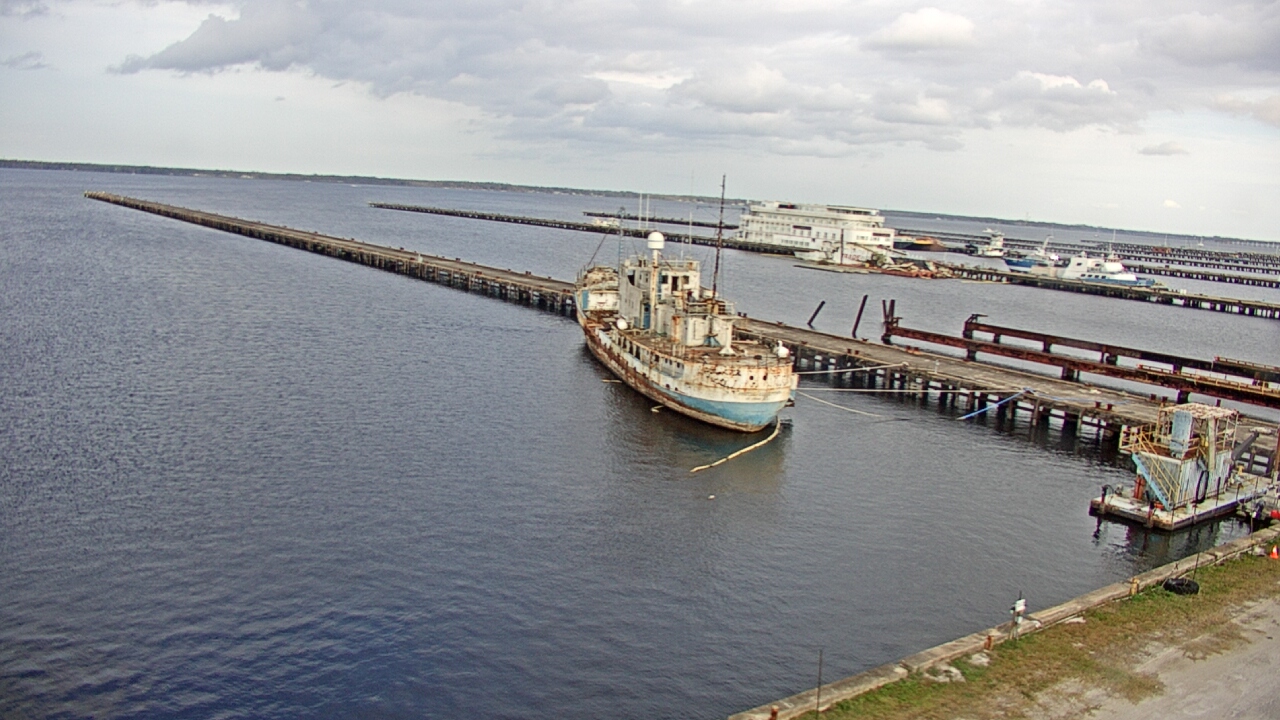 Thumbnail for current weather camera view from Reynolds Parks in Green Cove Springs, Florida