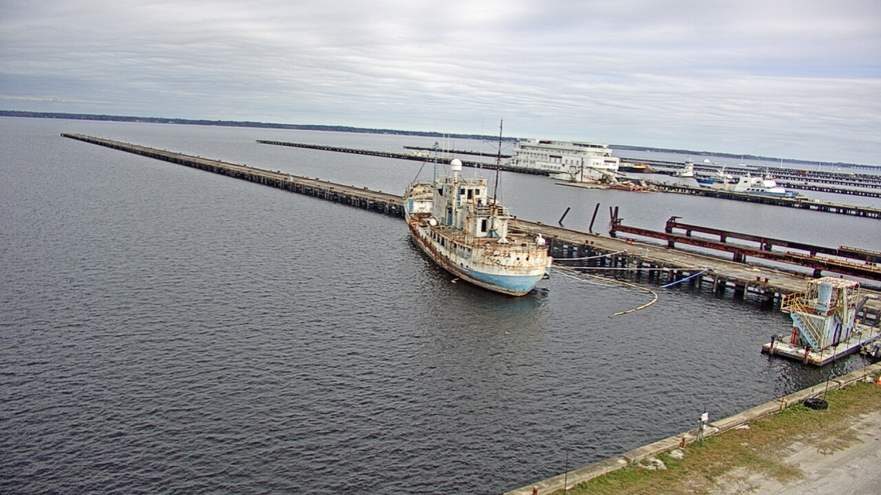 Thumbnail for current weather camera view from Reynolds Parks in Green Cove Springs, Florida