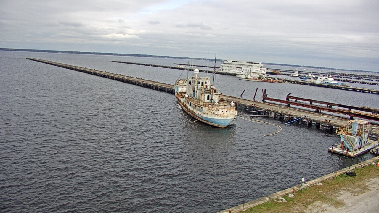 Thumbnail for current weather camera view from Reynolds Parks in Green Cove Springs, Florida