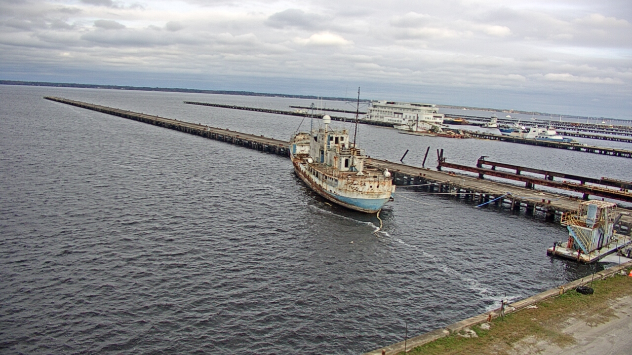 Thumbnail for current weather camera view from Reynolds Parks in Green Cove Springs, Florida