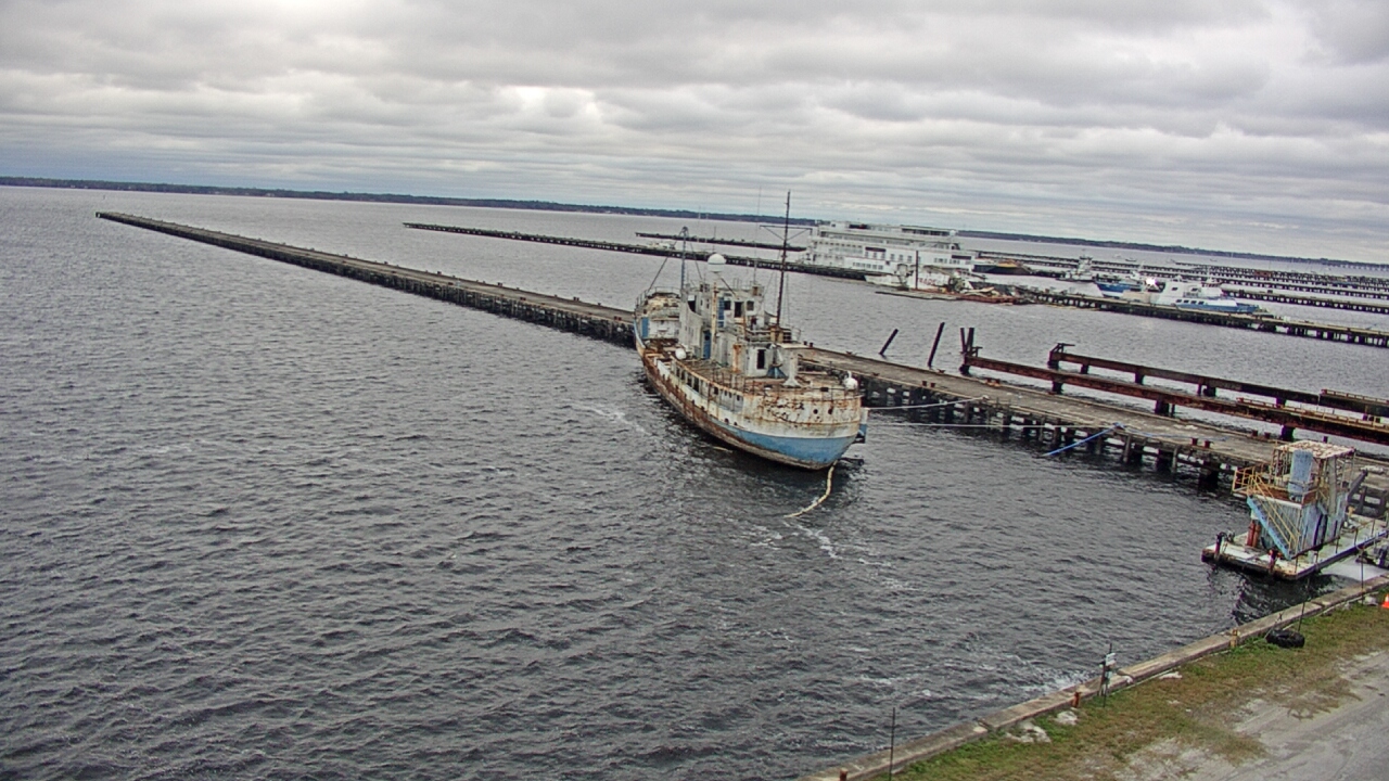 Thumbnail for current weather camera view from Reynolds Parks in Green Cove Springs, Florida