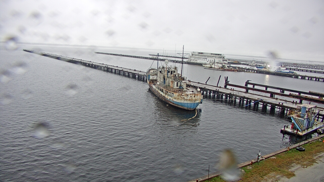 Thumbnail for current weather camera view from Reynolds Parks in Green Cove Springs, Florida