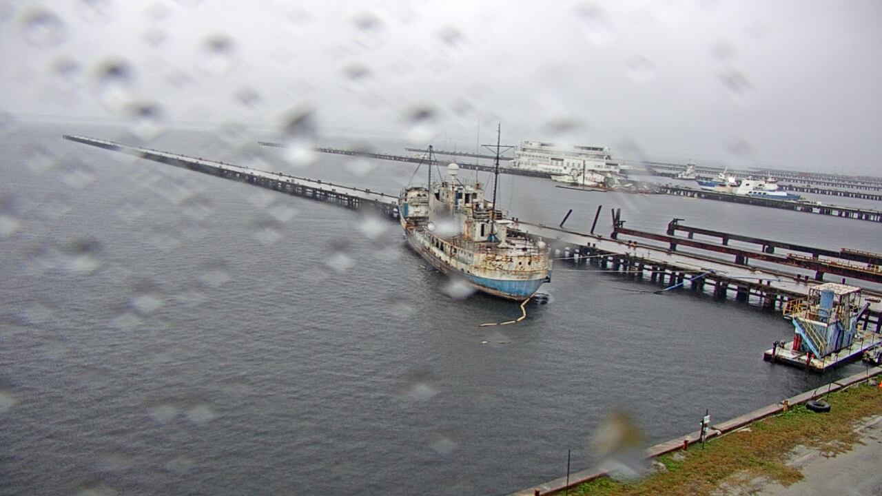 Thumbnail for current weather camera view from Reynolds Parks in Green Cove Springs, Florida