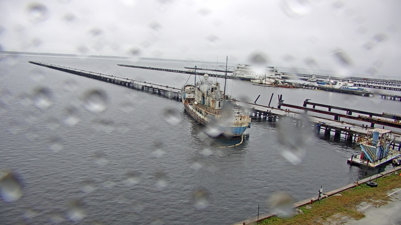 Thumbnail for current weather camera view from Reynolds Parks in Green Cove Springs, Florida