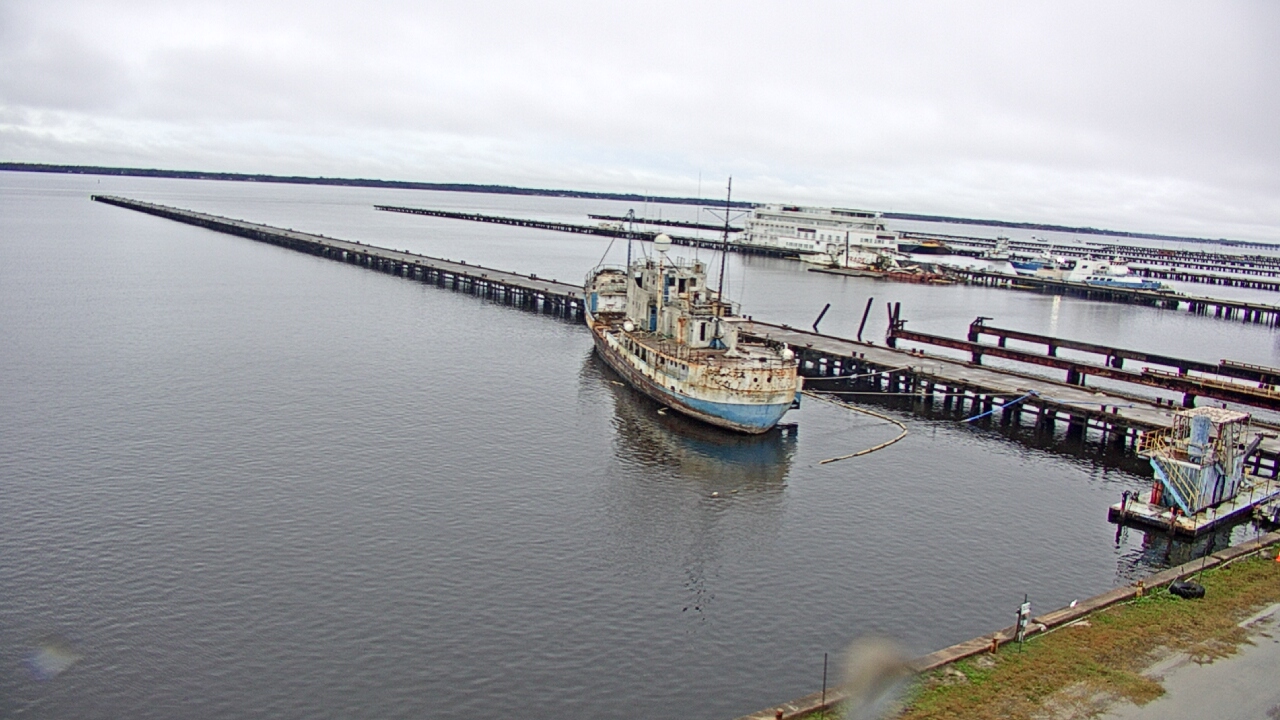 Thumbnail for current weather camera view from Reynolds Parks in Green Cove Springs, Florida
