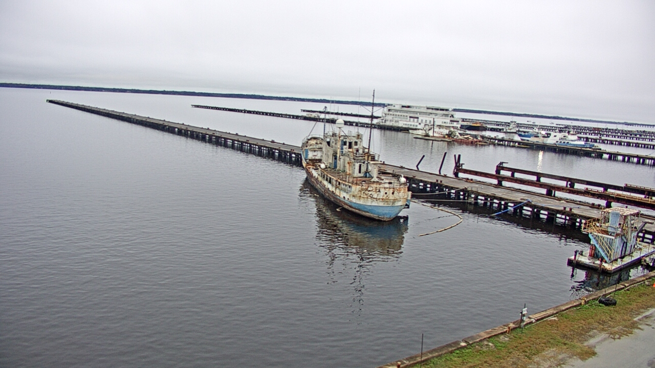 Thumbnail for current weather camera view from Reynolds Parks in Green Cove Springs, Florida