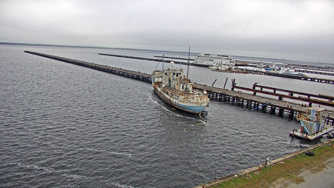 Thumbnail for current weather camera view from Reynolds Parks in Green Cove Springs, Florida