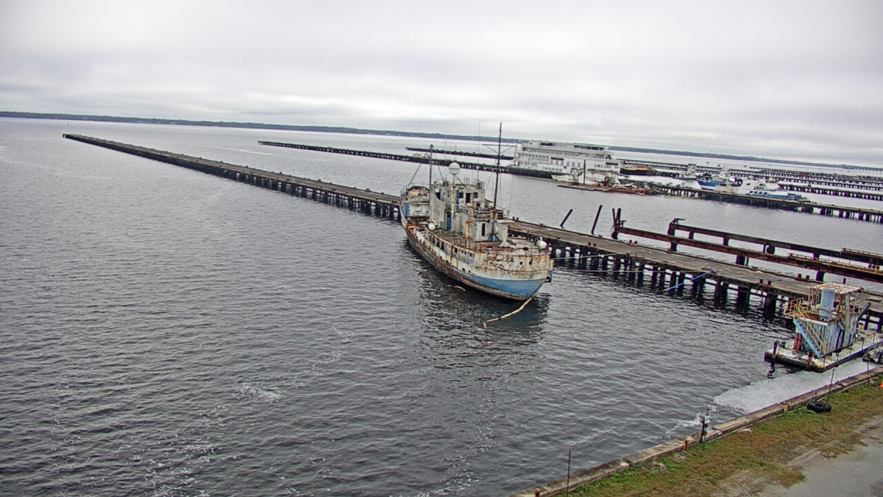 Thumbnail for current weather camera view from Reynolds Parks in Green Cove Springs, Florida