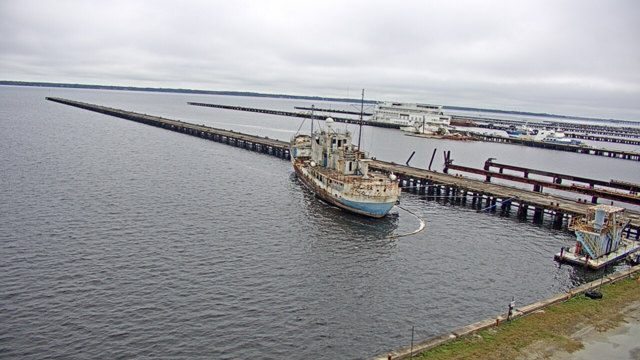 Thumbnail for current weather camera view from Reynolds Parks in Green Cove Springs, Florida