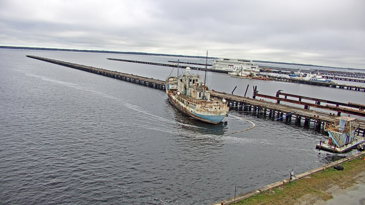 Thumbnail for current weather camera view from Reynolds Parks in Green Cove Springs, Florida
