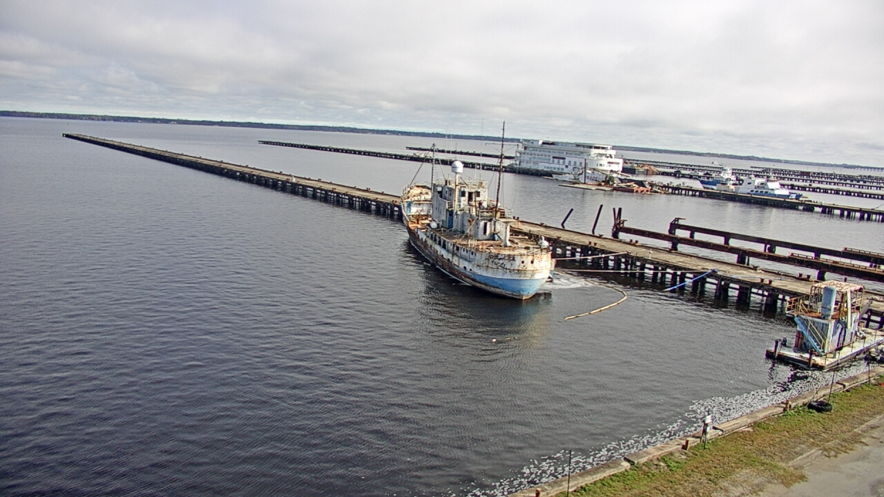 Thumbnail for current weather camera view from Reynolds Parks in Green Cove Springs, Florida