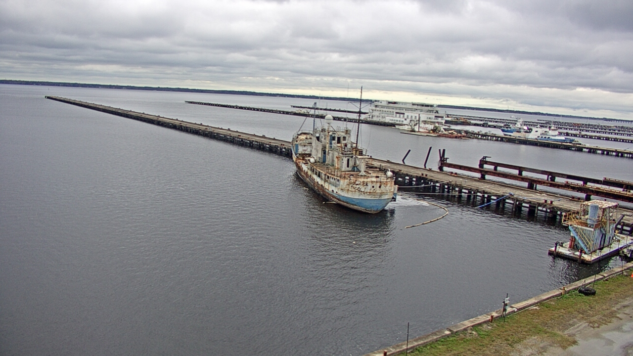 Thumbnail for current weather camera view from Reynolds Parks in Green Cove Springs, Florida