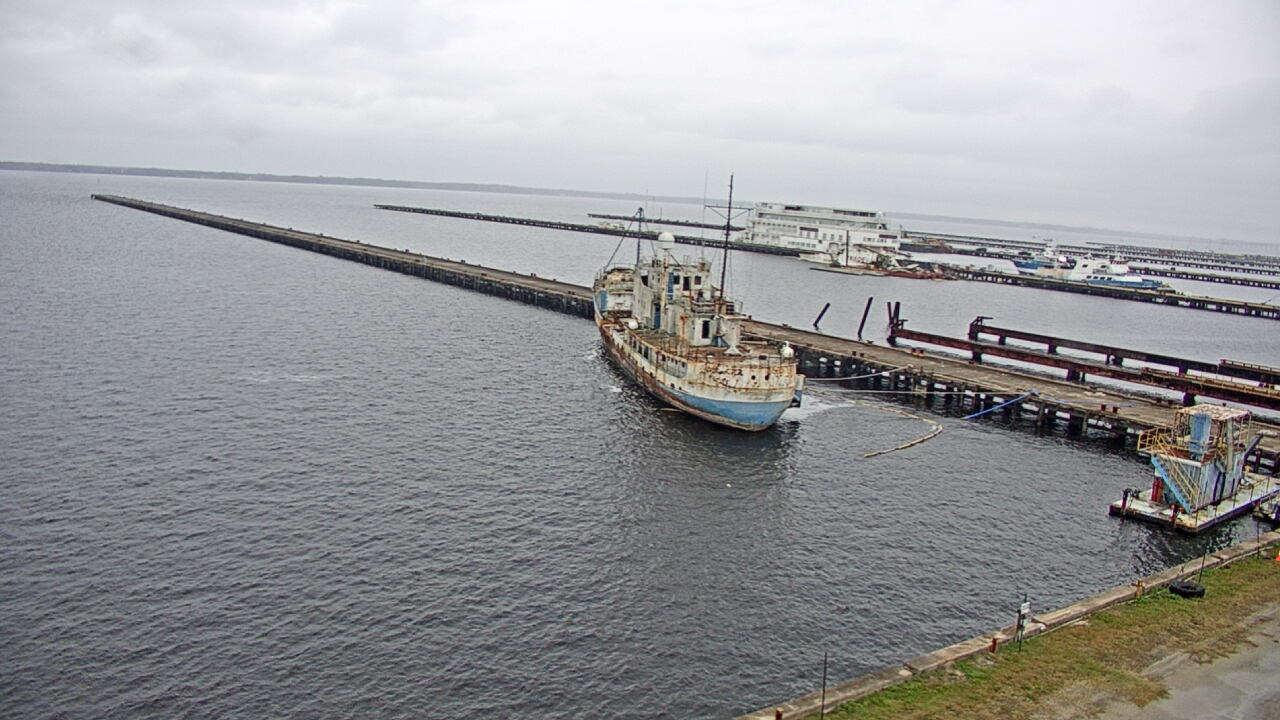 Thumbnail for current weather camera view from Reynolds Parks in Green Cove Springs, Florida